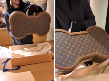 Louis Vuitton Dog Suitcase